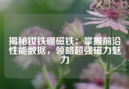 揭秘釹鐵硼磁鐵：掌握前沿性能數(shù)據(jù)，領(lǐng)略超強磁力魅力