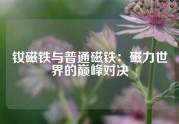 釹磁鐵與普通磁鐵：磁力世界的巔峰對決