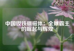 中國釹鐵硼磁體：全球霸主的崛起與輝煌