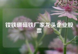 釹鐵硼磁鐵廠家龍頭企業股票