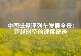 中國磁懸浮列車發(fā)展全景：跨越時空的速度奇跡