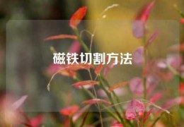 磁鐵切割方法