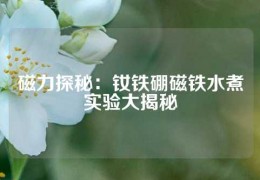 磁力探秘：釹鐵硼磁鐵水煮實驗大揭秘