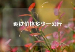 硼鐵價格多少一公斤