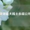 全球最大稀土永磁公司