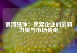 銀河磁體：民營企業的創新力量與市場傳奇