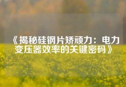 《揭秘硅鋼片矯頑力：電力變壓器效率的關(guān)鍵密碼》