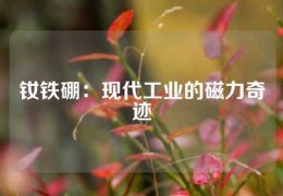 釹鐵硼：現(xiàn)代工業(yè)的磁力奇跡