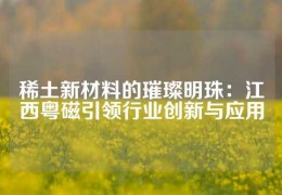 稀土新材料的璀璨明珠：江西粵磁引領行業創新與應用