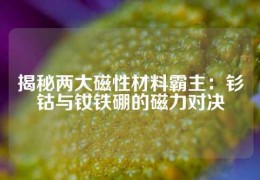 揭秘兩大磁性材料霸主：釤鈷與釹鐵硼的磁力對決