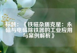 標題：《鐵磁雜質克星：永磁與電磁除鐵器的工業應用與案例解析》