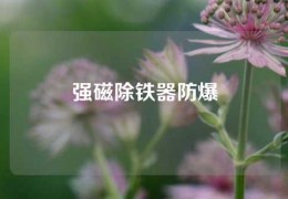 強磁除鐵器防爆