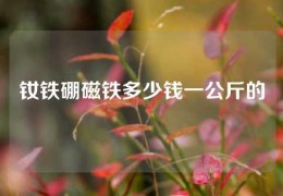 釹鐵硼磁鐵多少錢一公斤的