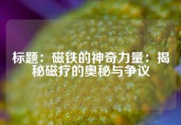 標(biāo)題：磁鐵的神奇力量：揭秘磁療的奧秘與爭議
