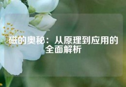 磁的奧秘：從原理到應(yīng)用的全面解析