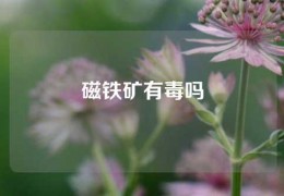 磁鐵礦有毒嗎