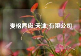 麥格昆磁(天津)有限公司