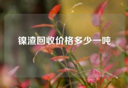 鎳渣回收價(jià)格多少一噸