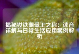 揭秘釹鐵硼磁王之稱：讀音詳解與日常生活應用案例解析