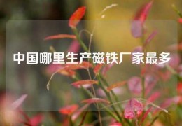 中國哪里生產磁鐵廠家最多