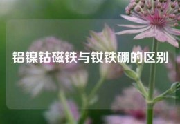 鋁鎳鈷磁鐵與釹鐵硼的區別