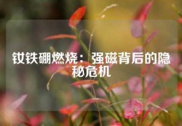 釹鐵硼燃燒：強(qiáng)磁背后的隱秘危機(jī)