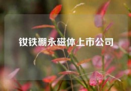 釹鐵硼永磁體上市公司