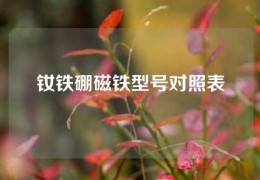 釹鐵硼磁鐵型號對照表