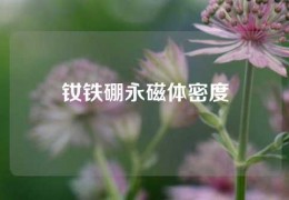 釹鐵硼永磁體密度