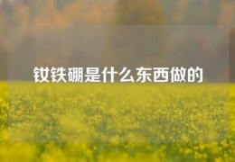 釹鐵硼是什么東西做的