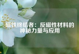 磁鐵終結者：反磁性材料的神秘力量與應用