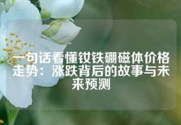 一句話看懂釹鐵硼磁體價(jià)格走勢：漲跌背后的故事與未來預(yù)測