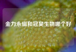 金力永磁和冠昊生物哪個好