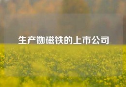 生產銣磁鐵的上市公司