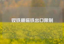 釹鐵硼磁鐵出口限制