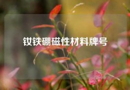 釹鐵硼磁性材料牌號(hào)