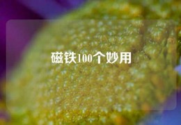 磁鐵100個妙用