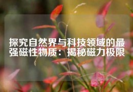 探究自然界與科技領域的最強磁性物質：揭秘磁力極限