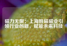 磁力無限：上海勝磁磁業引領行業創新，賦能未來科技