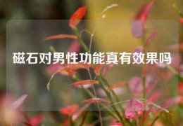 磁石對男性功能真有效果嗎