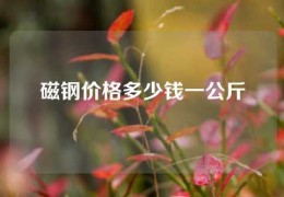 磁鋼價格多少錢一公斤