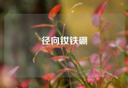 徑向釹鐵硼