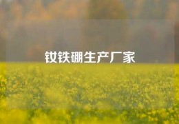 釹鐵硼生產廠家