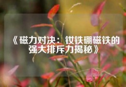 《磁力對決：釹鐵硼磁鐵的強大排斥力揭秘》