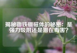 揭秘銣鐵硼磁體的秘密：是強力吸附還是潛在毒害？