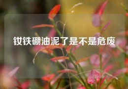 釹鐵硼油泥了是不是危廢