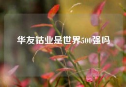 華友鈷業是世界500強嗎