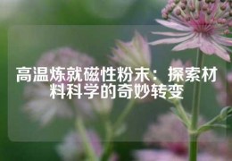 高溫?zé)捑痛判苑勰禾剿鞑牧峡茖W(xué)的奇妙轉(zhuǎn)變