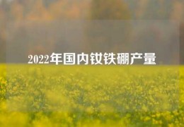 2022年國內釹鐵硼產量