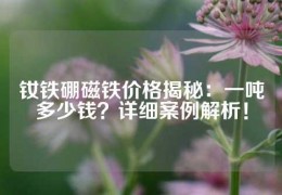 釹鐵硼磁鐵價格揭秘：一噸多少錢？詳細案例解析！